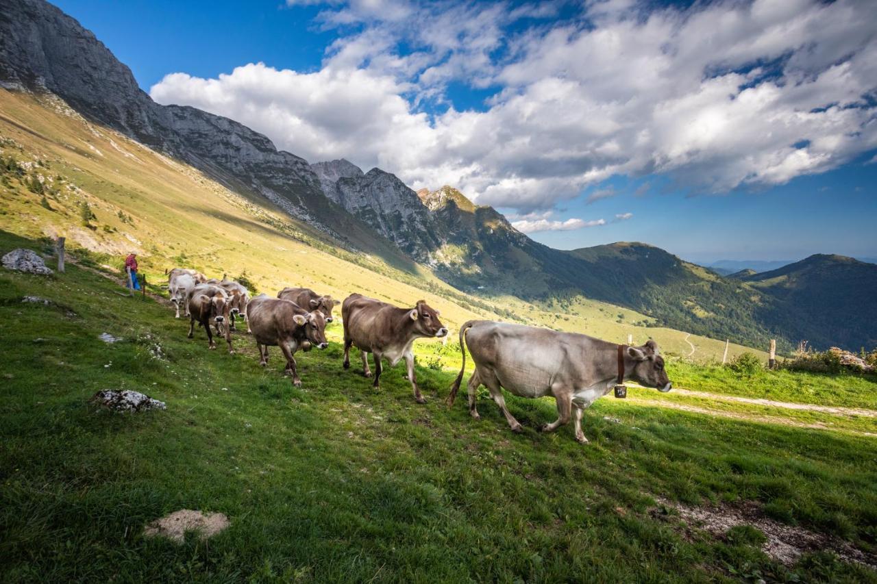 Nebesa Chalets Kobarid Exteriér fotografie